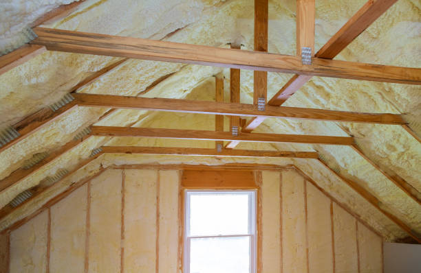 Best Energy-efficient Insulation  in Lufkin, TX