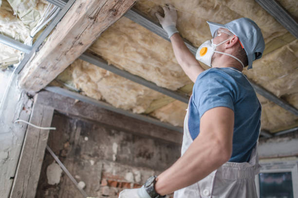 Best Spray Foam Insulation  in Lufkin, TX