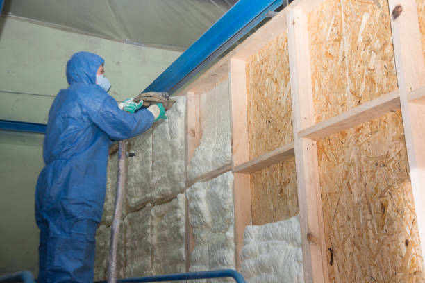 Best Residential Insulation Services  in Lufkin, TX